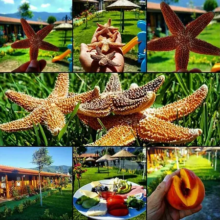 Huzur