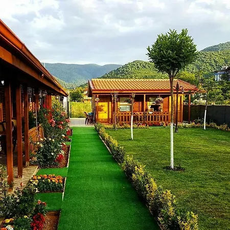 Huzur * Çınarcık